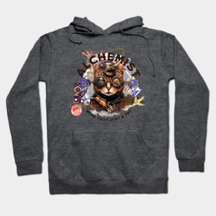 Alchemist cat - part-time pet career Hoodie